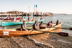 weir-201 weir-201