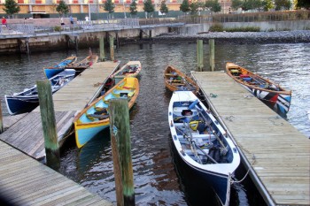 IMG_1613 IMG_1613